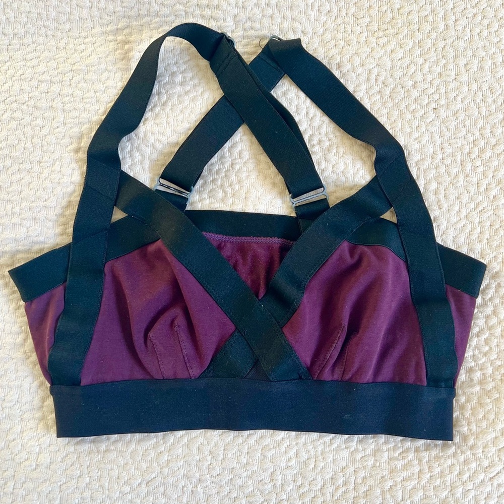 Aritzia Sports Bra (small)